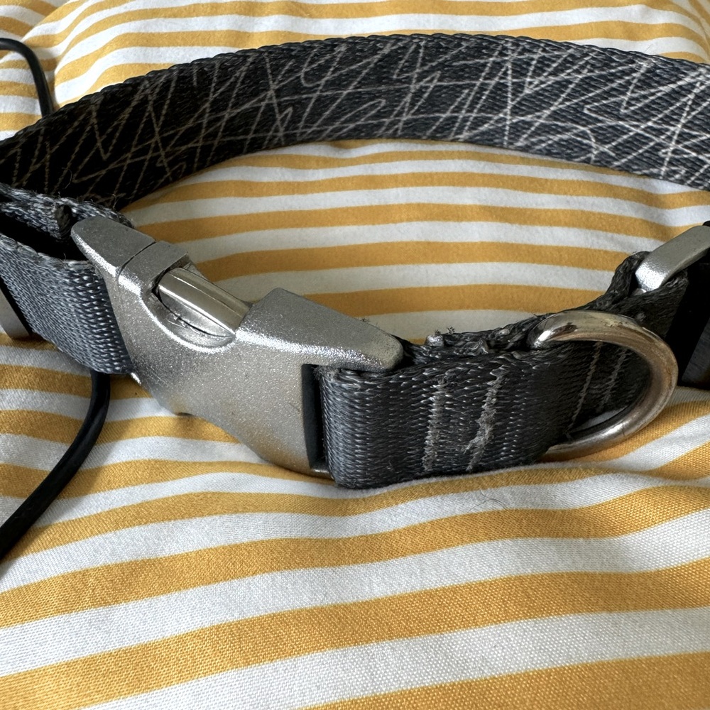 Fi Collar